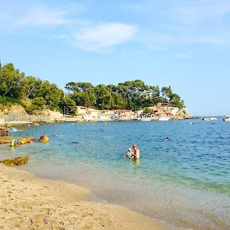 T2 Cosy Toulon, Proche Plage Ngoại thất bức ảnh