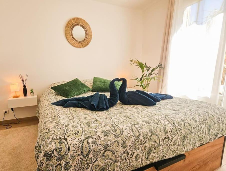 T2 Cosy Toulon, Proche Plage Ngoại thất bức ảnh